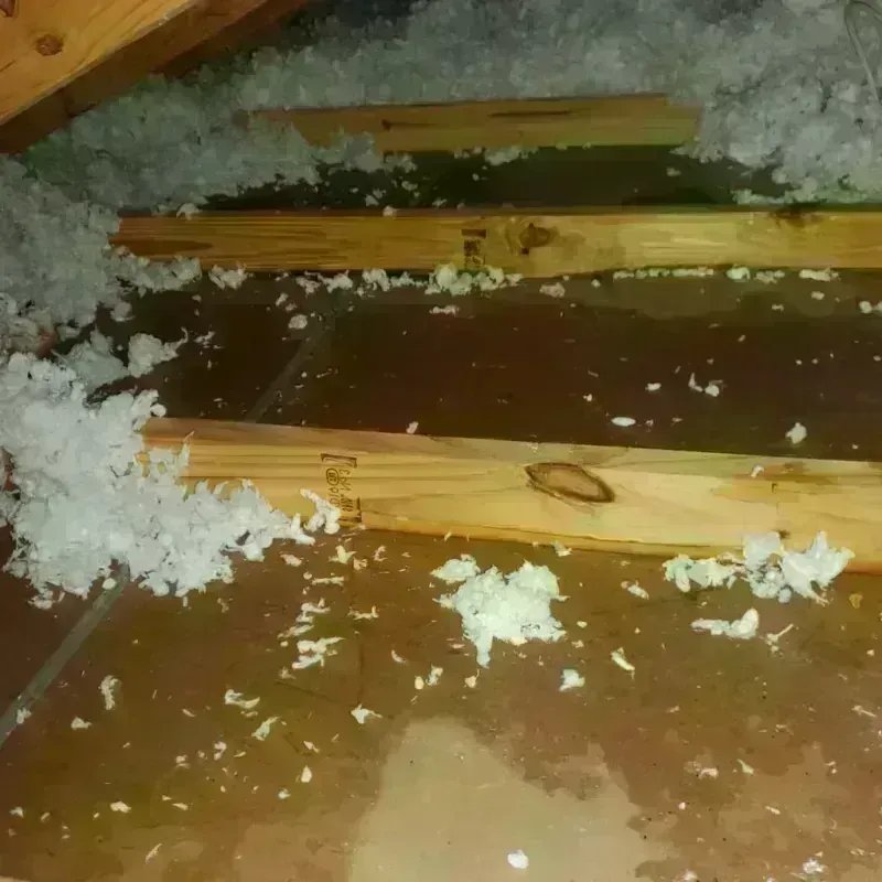 Attic Water Damage in Cle Elum, WA